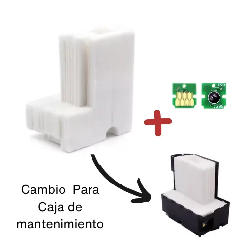 1.webp