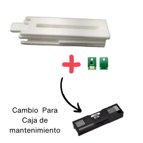 1.webp